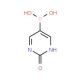 2-Hydroxypyrimidine-5-boronic acid (CAS 373384-19-1) - chemical structure image