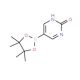 2-Hydroxypyrimidine-5-boronic acid pinacol ester (CAS 1073354-84-3) - chemical structure image