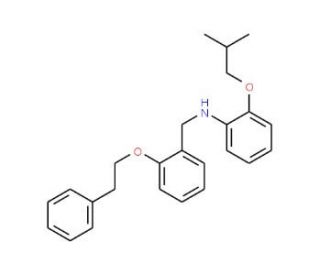 2-Isobutoxy-N-[2-(phenethyloxy)benzyl]aniline - chemical structure image
