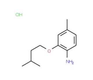 2-(Isopentyloxy)-4-methylaniline hydrochloride - chemical structure image