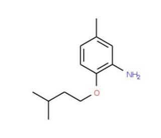 2-(Isopentyloxy)-5-methylaniline - chemical structure image