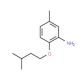 2-(Isopentyloxy)-5-methylaniline - chemical structure image