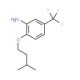 2-(Isopentyloxy)-5-(trifluoromethyl)aniline - chemical structure image