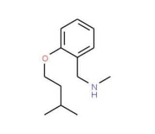 [2-(Isopentyloxy)phenyl]-N-methylmethanamine - chemical structure image