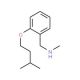 [2-(Isopentyloxy)phenyl]-N-methylmethanamine - chemical structure image