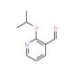 2-Isopropoxypyridine-3-carboxaldehyde (CAS 885278-10-4) - chemical structure image