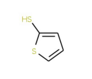 2-Mercaptothiophene (CAS 7774-74-5) - chemical structure image