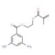 2-(Methacryloyloxy)ethyl 3,5-diaminobenzoate (CAS 76067-81-7) - chemical structure image