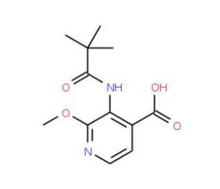 2-Methoxy-3-pivalamidoisonicotinic acid - chemical structure image
