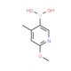 2-Methoxy-4-methylpyridine-5-boronic acid (CAS 503184-35-8) - chemical structure image