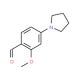 2-Methoxy-4-pyrrolidin-1-yl-benzaldehyde - chemical structure image