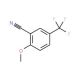 2-Methoxy-5-(trifluoromethyl)benzonitrile (CAS 34636-92-5) - chemical structure image