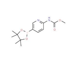 2-Methoxycarbonylaminopyridine-5-boronic acid, pinacol ester (CAS 1073372-02-7) - chemical structure image
