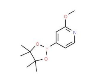 2-Methoxypyridine-4-boronic acid, pinacol ester (CAS 408502-23-8) - chemical structure image