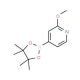 2-Methoxypyridine-4-boronic acid, pinacol ester (CAS 408502-23-8) - chemical structure image