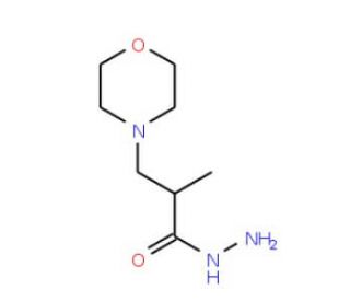 2-Methyl-3-morpholin-4-ylpropanohydrazide (CAS 155219-09-3) - chemical structure image