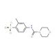 2-Methyl-4-[(morpholine-4-carbonyl)amino]benzene-sulfonyl chloride - chemical structure image