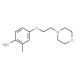 2-Methyl-4-[2-(4-morpholinyl)ethoxy]phenylamine - chemical structure image