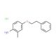 2-Methyl-4-(phenethyloxy)aniline hydrochloride - chemical structure image