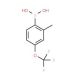 2-Methyl-4-(trifluoromethoxy)benzeneboronic acid (CAS 850033-39-5) - chemical structure image