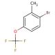 2-Methyl-4-(trifluoromethoxy)bromobenzene (CAS 261951-96-6) - chemical structure image