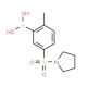 2-Methyl-5-(pyrrolidin-1-ylsulphonyl)benzeneboronic acid (CAS 871333-01-6) - chemical structure image