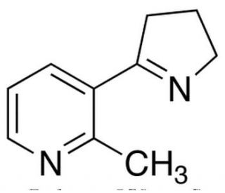 2-Methyl Myosmine (CAS 65719-03-1) - chemical structure image