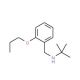 2-Methyl-N-(2-propoxybenzyl)-2-propanamine - chemical structure image