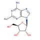 2-methyladenosine (CAS 16526-56-0) - chemical structure image