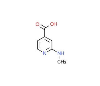 2-Methylamino-isonicotinic acid (CAS 876717-53-2) - chemical structure image