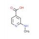 2-Methylamino-isonicotinic acid (CAS 876717-53-2) - chemical structure image