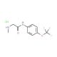 2-(methylamino)-N-[4-(trifluoromethoxy)phenyl]acetamide hydrochloride - chemical structure image