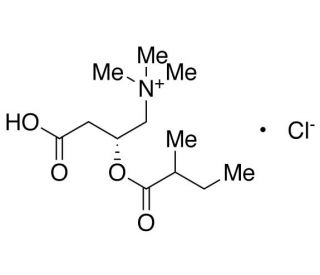 2-Methylbutyryl-L-carnitine chloride (CAS 256928-75-3) - chemical structure image