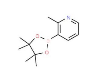 2-Methylpyridine-3-boronic acid, pinacol ester (CAS 1012084-56-8) - chemical structure image