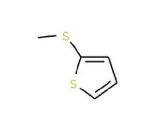 2-(Methylthio)thiophene (CAS 5780-36-9) - chemical structure image