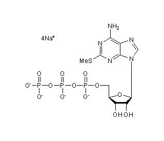 2-Methylthioadenosine Triphosphate Sodium Salt (CAS 100020-57-3) - chemical structure image