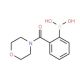 2-(Morpholin-4-ylcarbonyl)benzeneboronic acid (CAS 874219-17-7) - chemical structure image