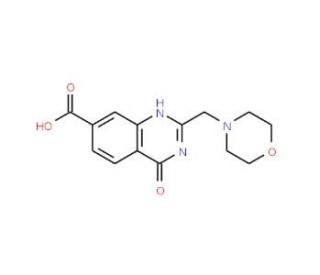 2-(morpholin-4-ylmethyl)-4-oxo-3,4-dihydroquinazoline-7-carboxylic acid - chemical structure image