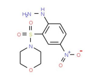 [2-(Morpholine-4-sulfonyl)-4-nitro-phenyl]-hydrazine - chemical structure image