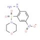 [2-(Morpholine-4-sulfonyl)-4-nitro-phenyl]-hydrazine - chemical structure image