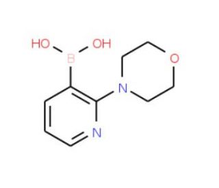 2-Morpholinopyridine-3-boronic acid (CAS 1218790-86-3) - chemical structure image