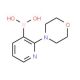 2-Morpholinopyridine-3-boronic acid (CAS 1218790-86-3) - chemical structure image