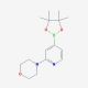 2-Morpholinopyridine-4-boronic acid, pinacol ester (CAS 888721-86-6) - chemical structure image