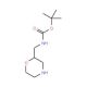 2-N-Boc-aminomethylmorpholine (CAS 173341-02-1) - chemical structure image