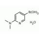 2-(N,N-Dimethylamino)pyridine-5-boronic acid (CAS 579525-46-5) - chemical structure image