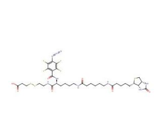 2-[N2-(4-Azido-2,3,5,6-tetrafluorobenzoyl)-N6-(6 -biotinamidocaproyl)-L-lysinyl]ethyl 2-Carboxyethyl Disulfide - chemical str