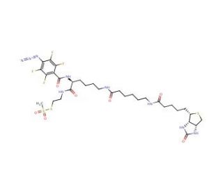 2-[N2-(4-Azido-2,3,5,6-tetrafluorobenzoyl)-N6-(6-biotinamidocaproyl)-L-lysinyl]ethyl Methanethiosulfonate (CAS 1356383-18-0)