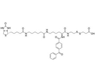 2-{N2-[N&alpha;-Benzoylbenzoicamido-N6-6-biotinamidocaproyl]lysinylamido}ethyl-2&prime;-carboxylethyl Disulfide - chemical structure imag