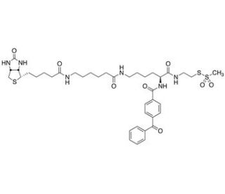 2-[N&alpha;-Benzoylbenzoicamido-N6-(6-biotinamidocaproyl)-L-lysinylamido]ethyl Methanethiosulfonate (CAS 910036-44-1) - chemical st