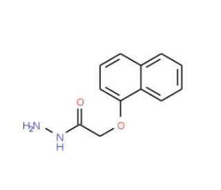 2-(Naphthoxy)acetic acid hydrazide (CAS 24310-15-4) - chemical structure image